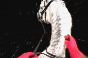 [Worth Listening to] Andrew Jim Gannon – Bon Boys Will Break Your Heart