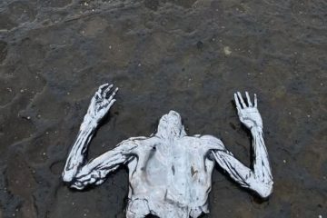 [Worth Listening to] kate moth – Heartattack