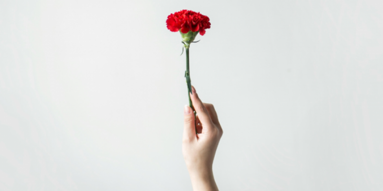 [25 de Abril Sempre!]